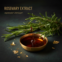 Rosemary Extract